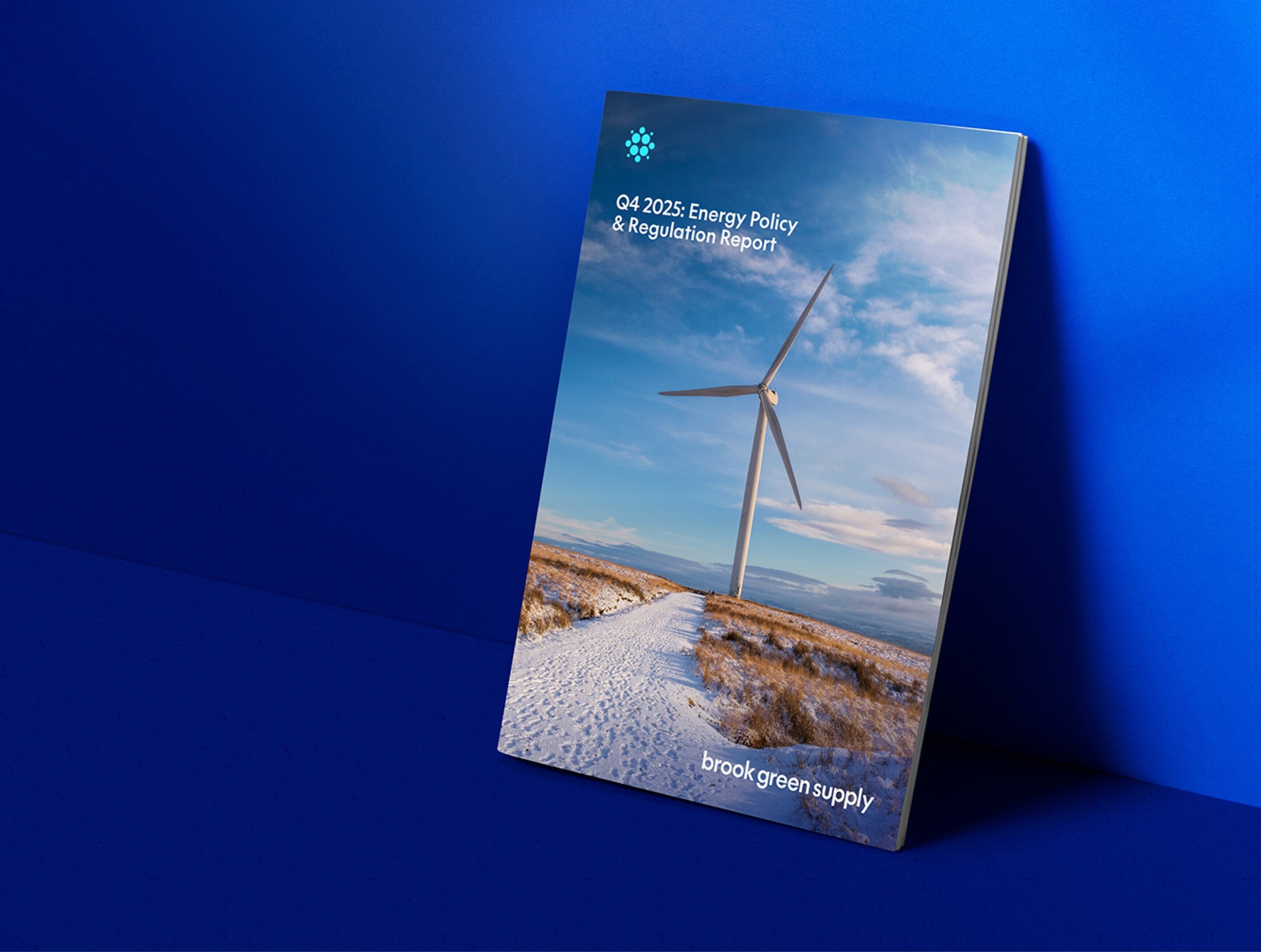 An image of the report against a blue background.