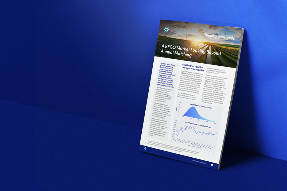 An image of the REGO market report leaning against a blue background.