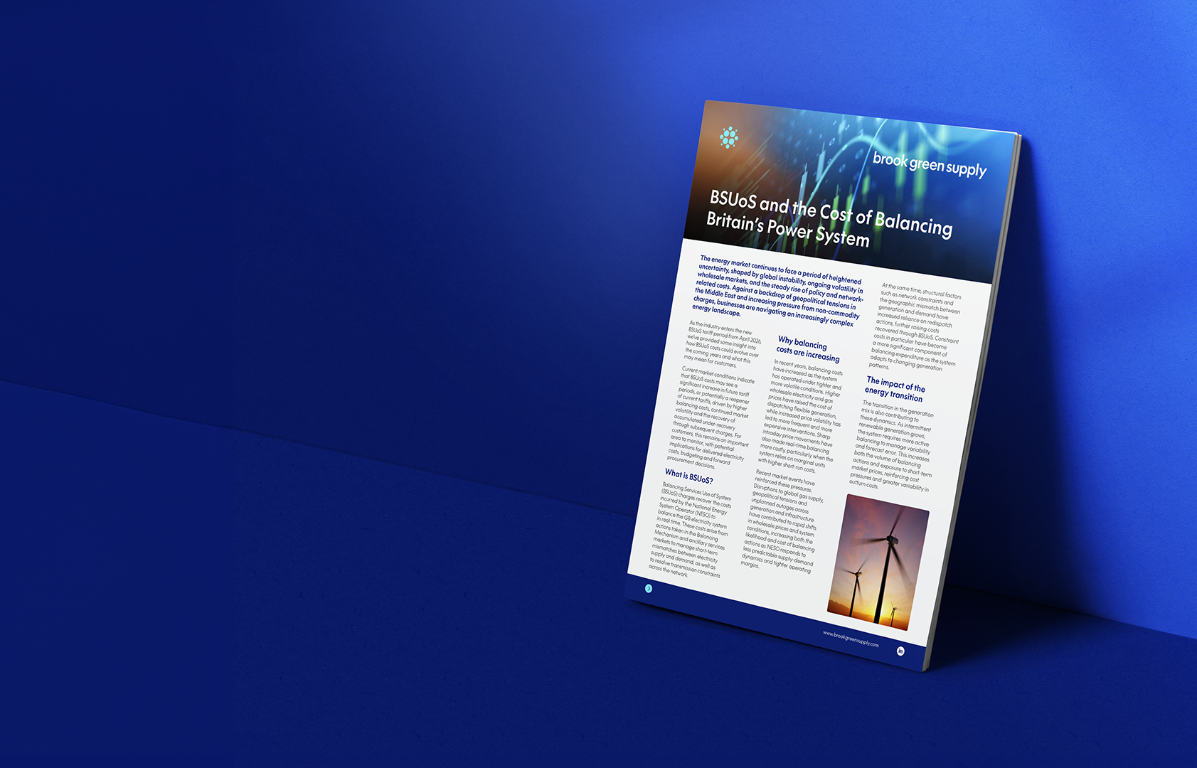 Preview of the BSUoS report leaning against a blue background