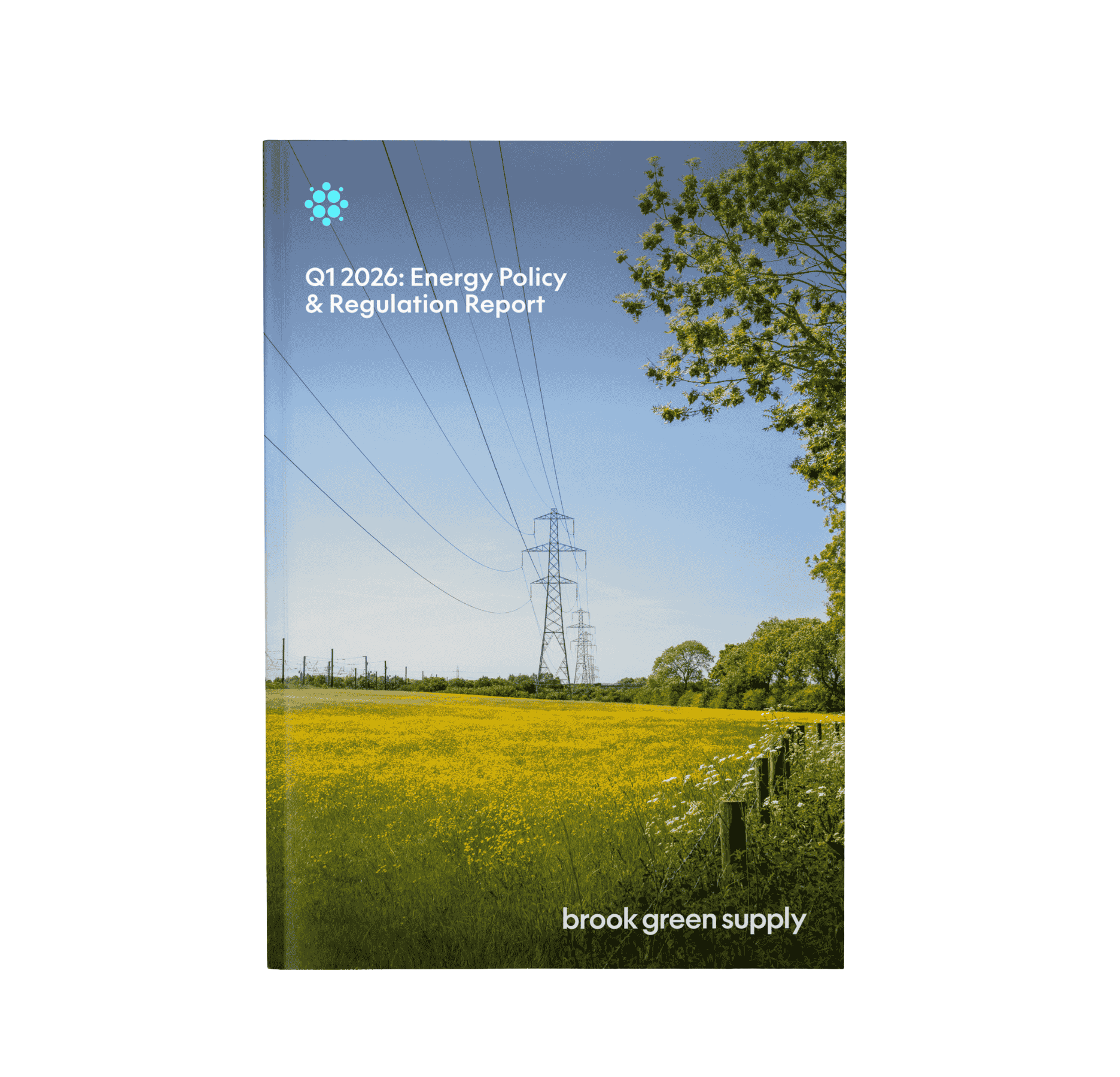 Preview of Q1 2026 Energy & policy report