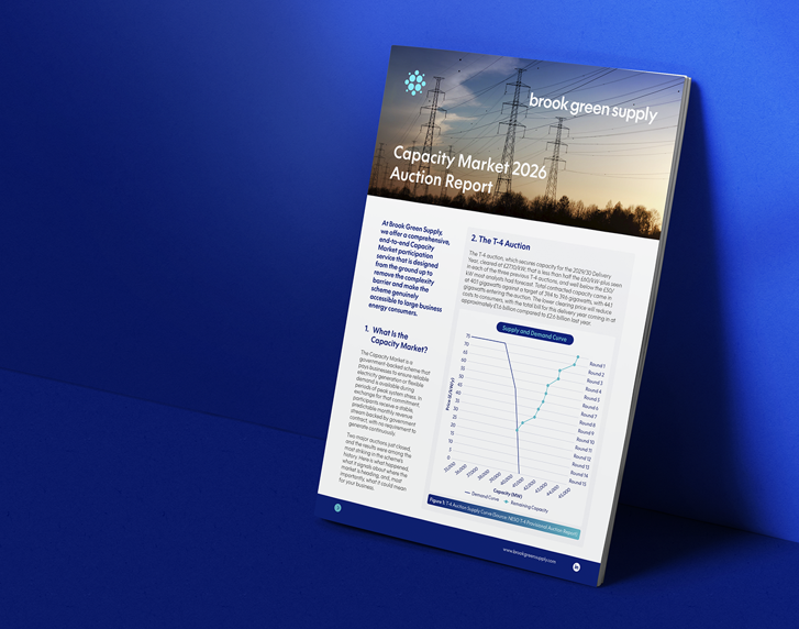 Image for Capacity Market 2026 Auction Report
