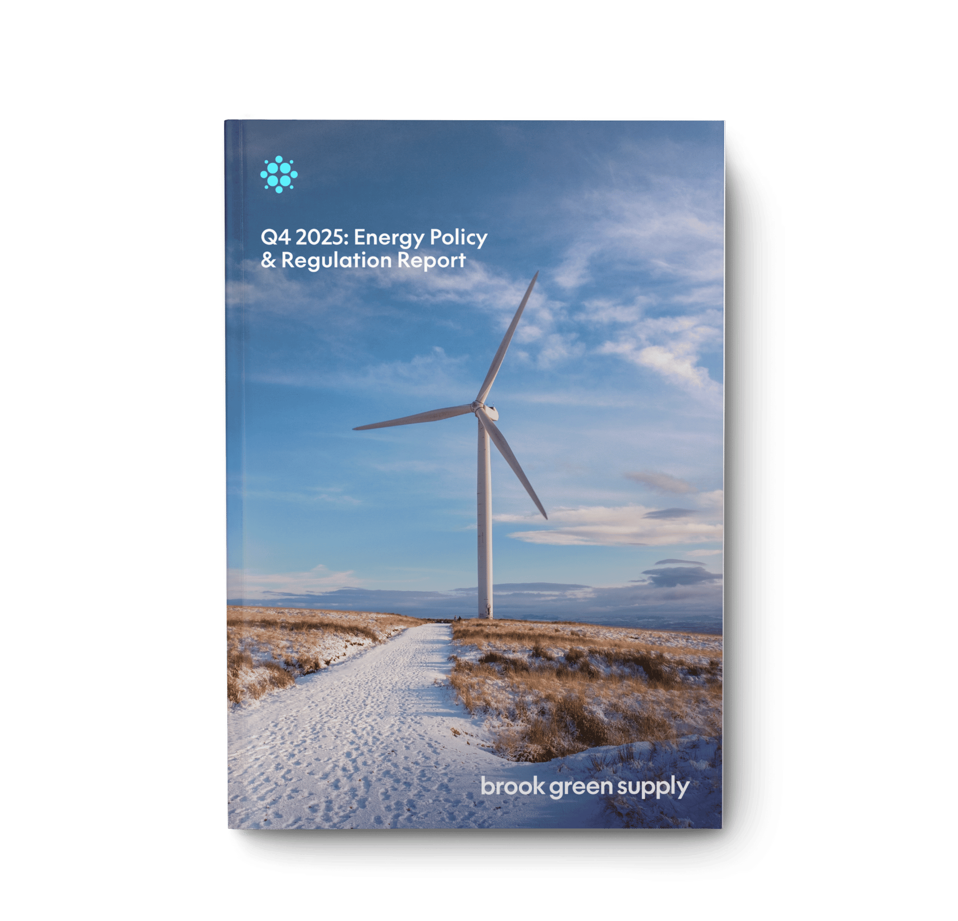 Q4 2025 Energy Policy & Regulation preview