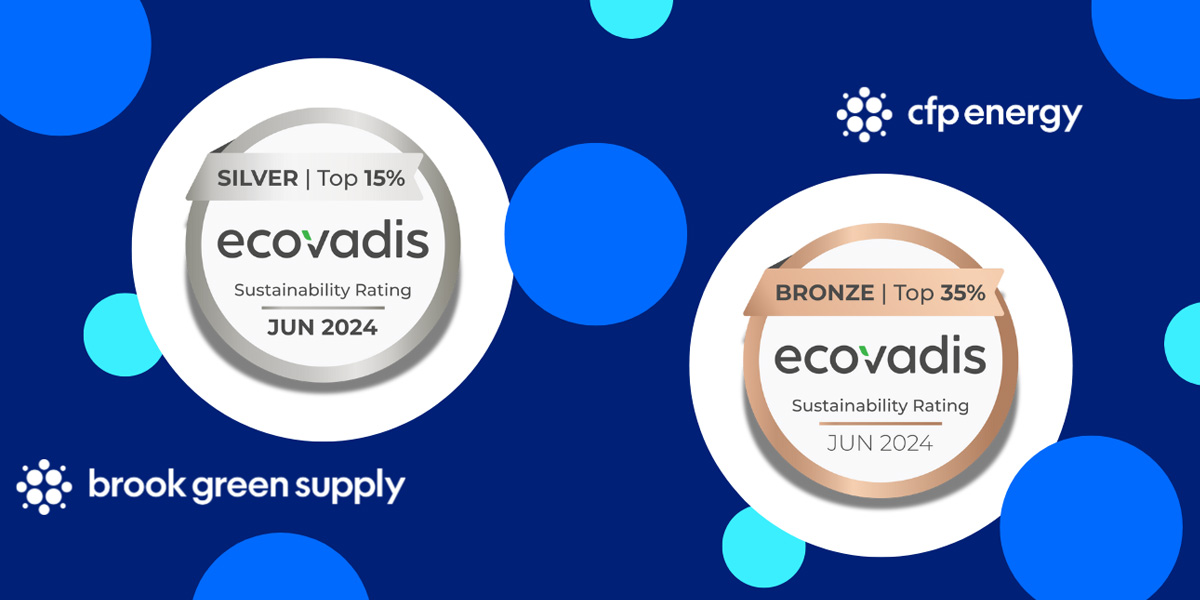 Image for CFP Group Remain on Track to Achieve EcoVadis Gold Rating by 2027