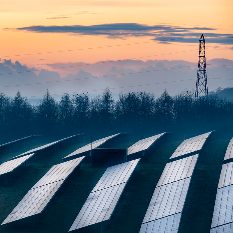 A side view of a field of solar panels, set against a row of trees framed by a misty dawn sky.