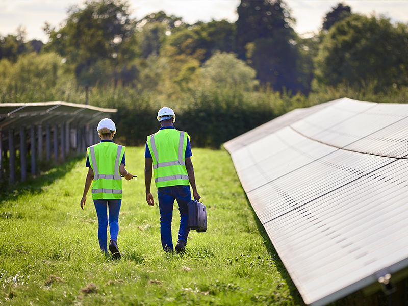A behind view of two people in high vis and white hard hats walking past a row of solar panels.