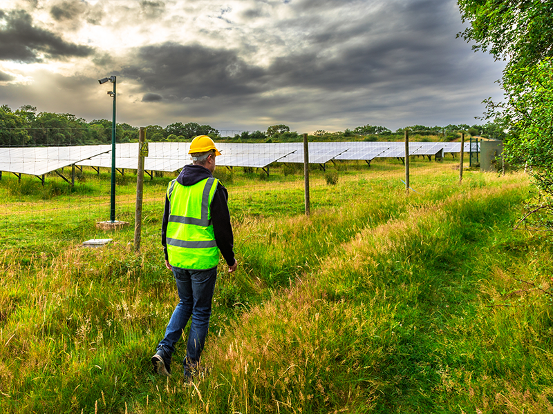A behind view of someone in high vis and a yellow hard hat walking down a grassy path past a field of solar panels.