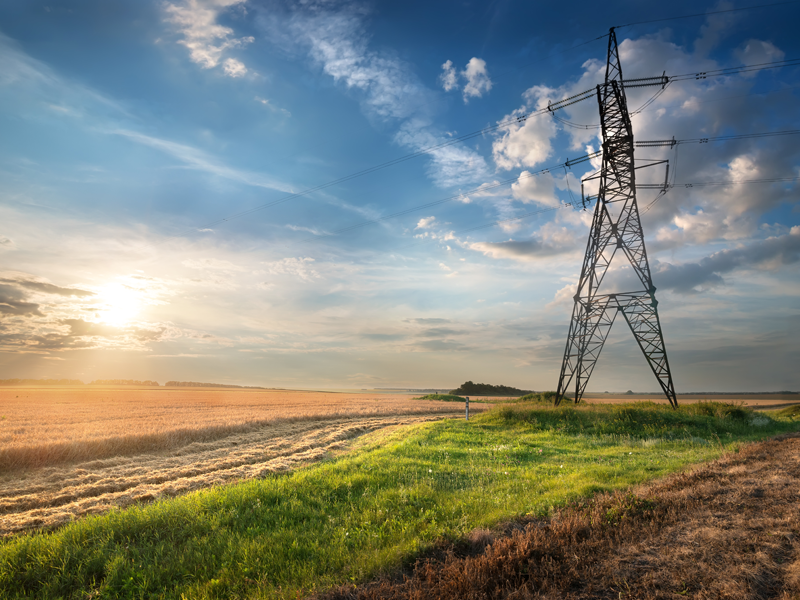 An electricity pylon stood in a field against a blue sky with light white cloud.