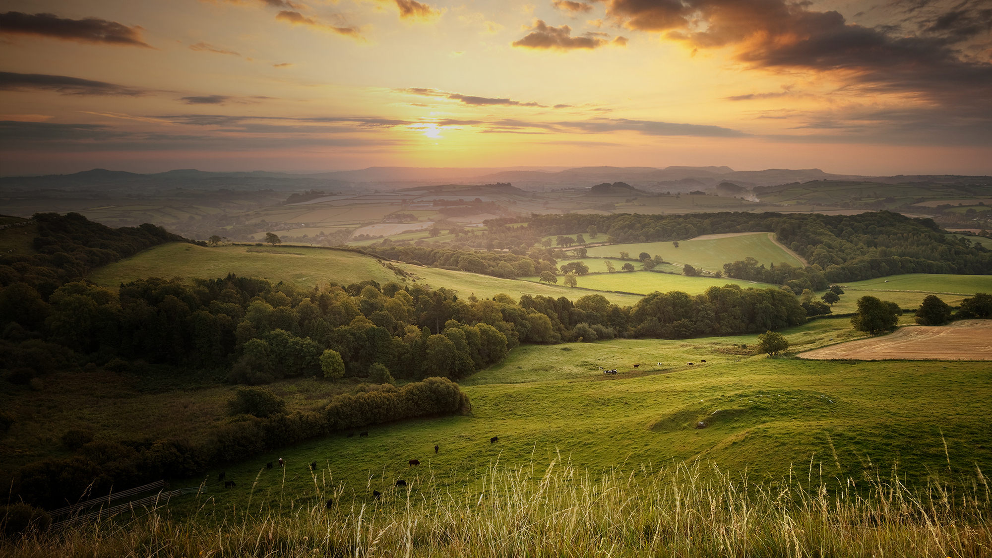 A rolling landscape of green fields, hills and trees, set against a setting sun.