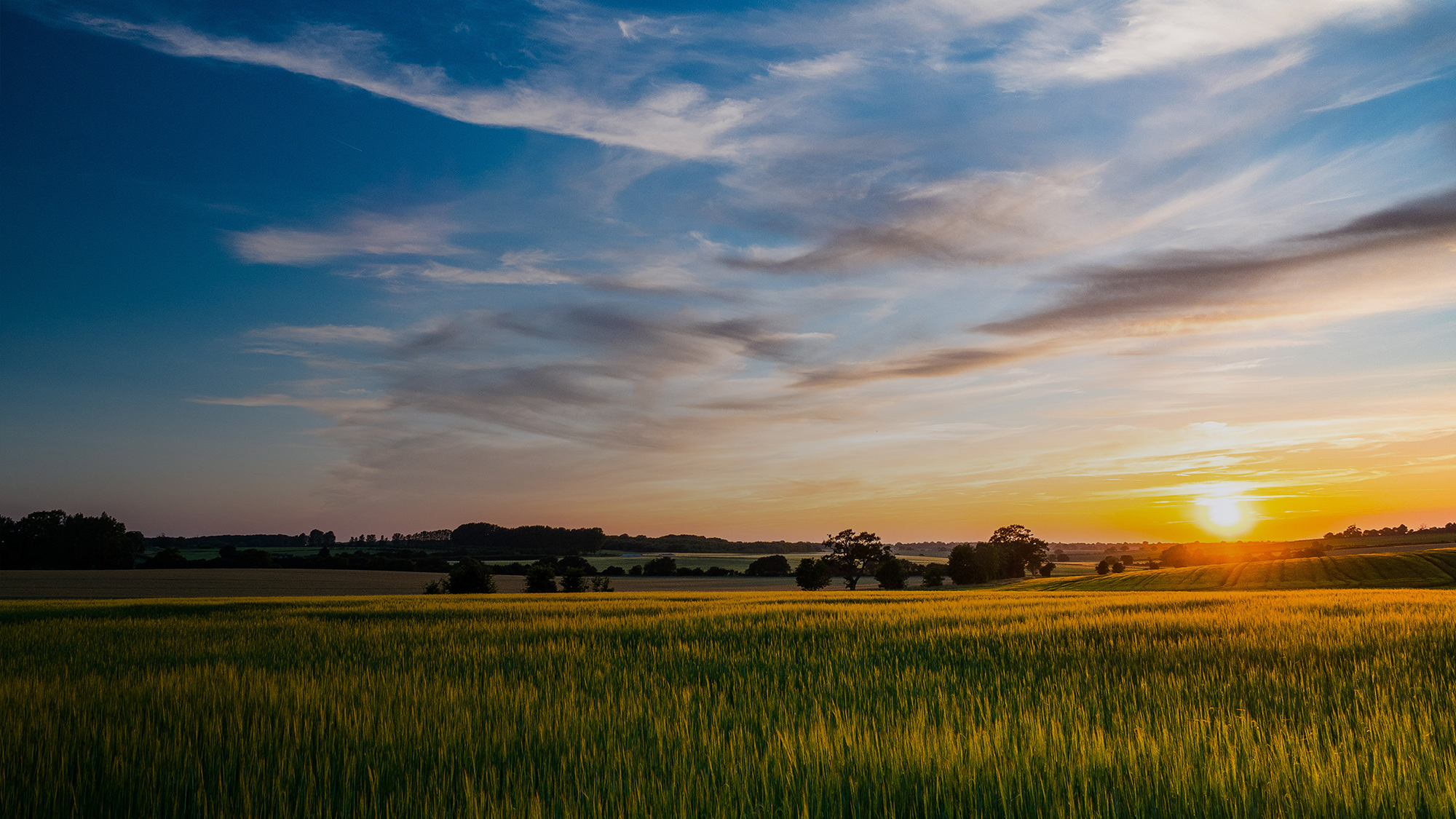 A wide view of green fields peppered with trees, set against a setting sun.