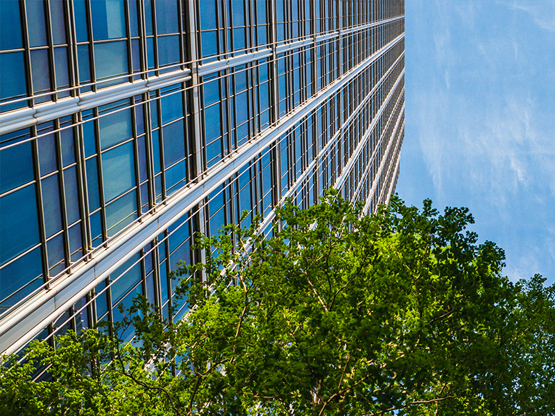 A shot from below of a tall office building that's flanked by green trees.