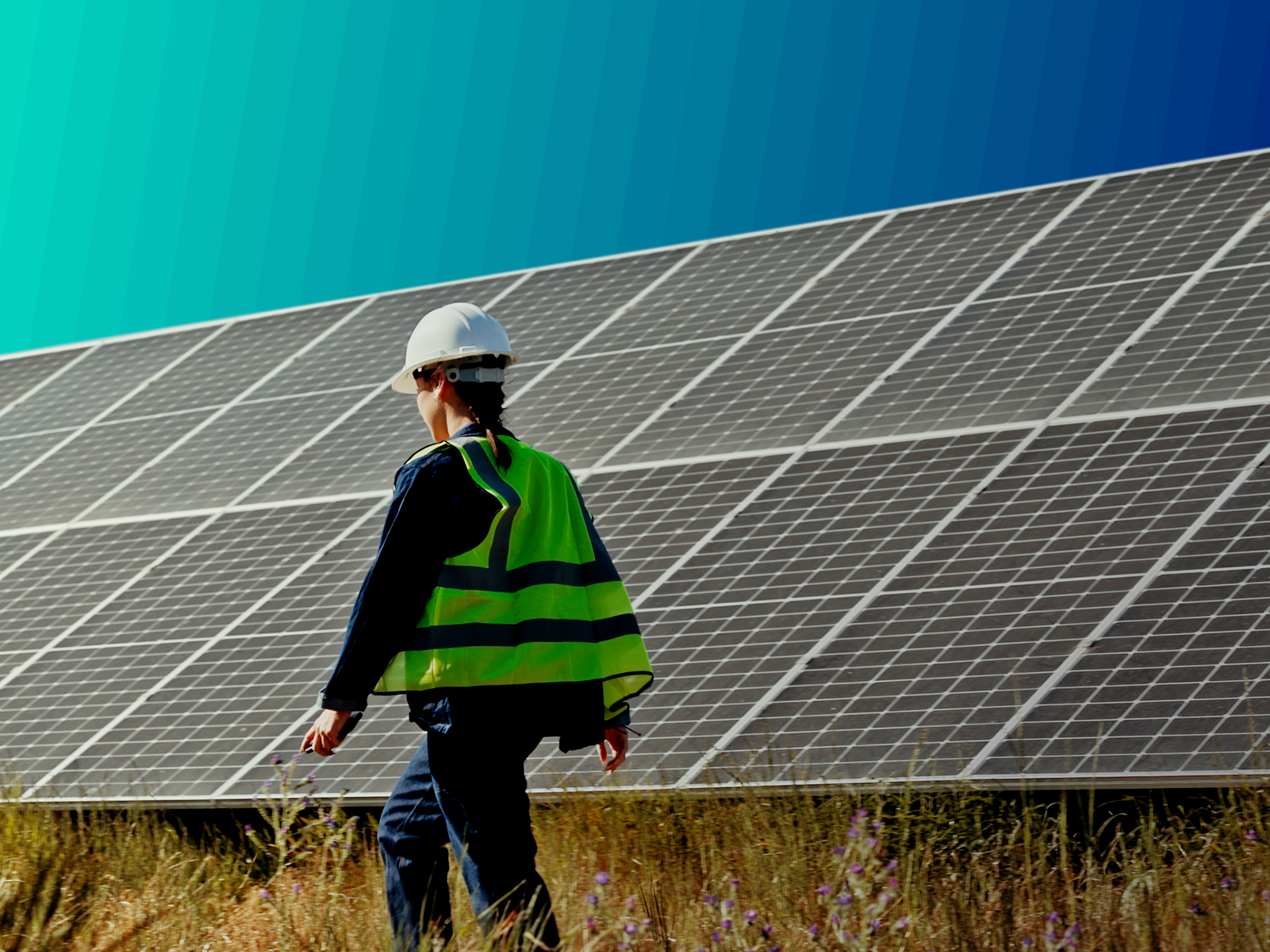 A person walking in long grass in front of a large solar panel.